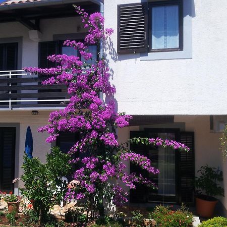 Apartments Barac Пореч Экстерьер фото