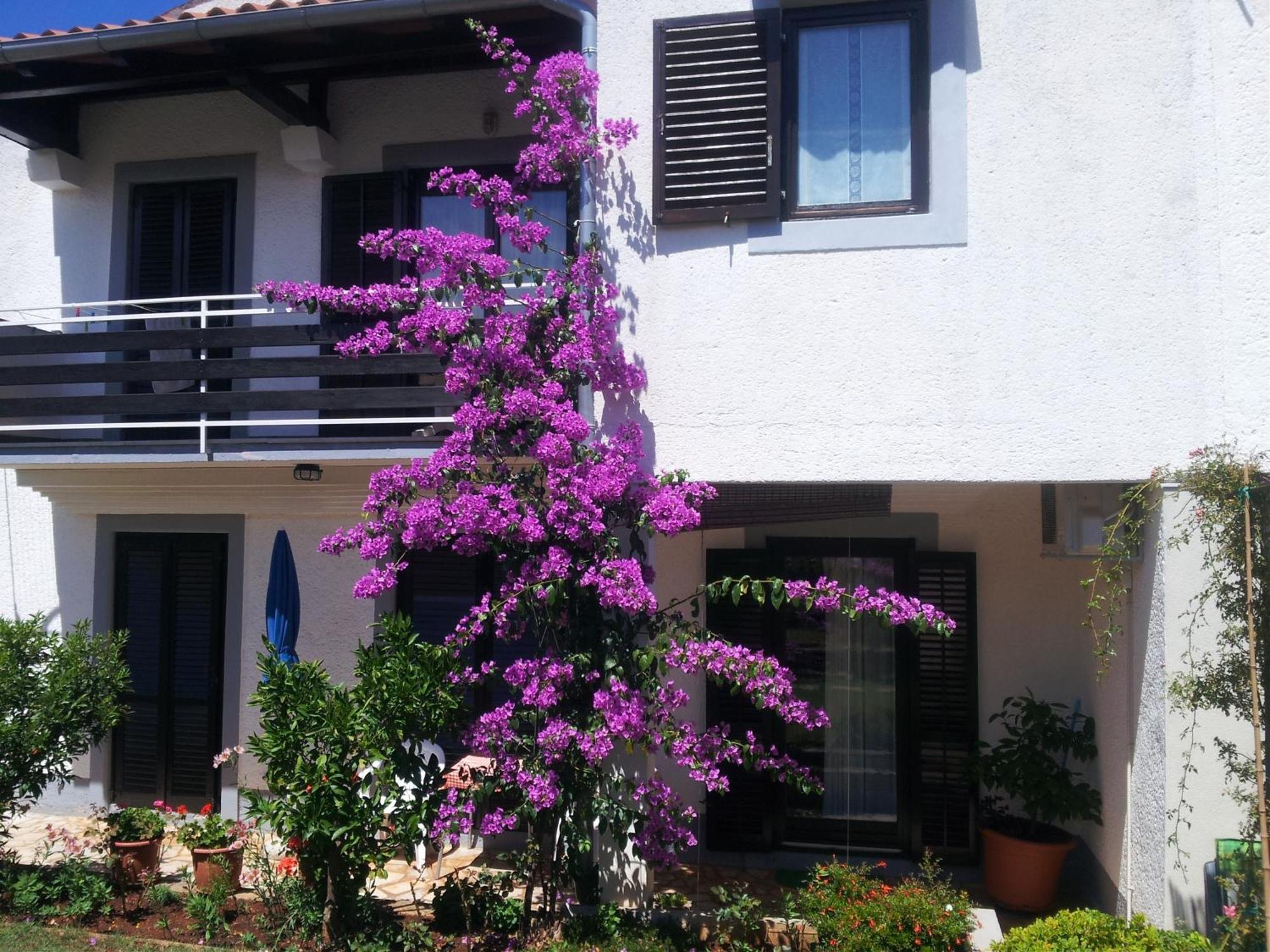 Apartments Barac Пореч Экстерьер фото