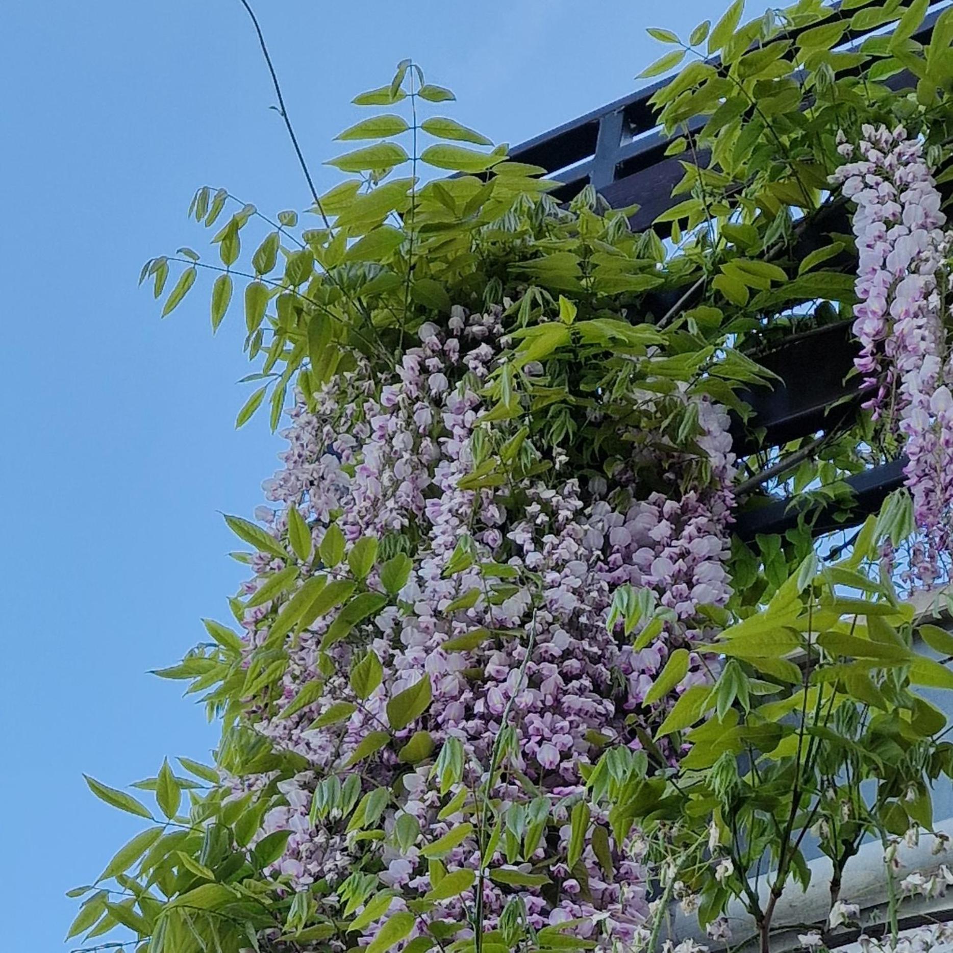 Apartments Barac Пореч Экстерьер фото